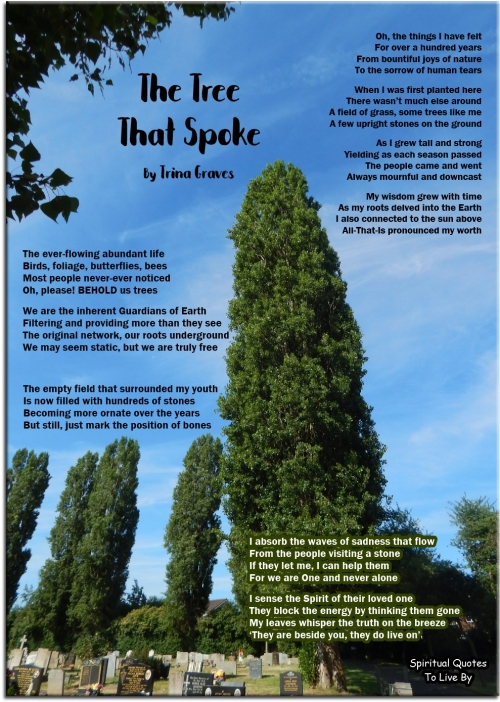 The Tree That Spoke - Inspirational Sympathy poem by Trina Graves - Spiritual Quotes To Live By