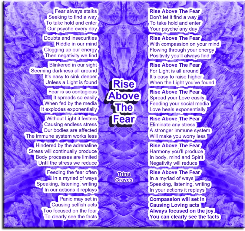Rise Above The Fear by Trina Graves