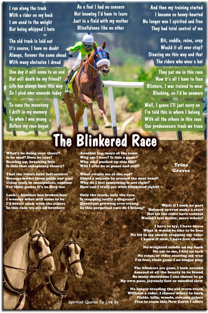 The Blinkered Race - inspirational poem by Trina Graves - Spiritual Quotes To Live By